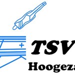 thumbnail_TSV LOGO 25